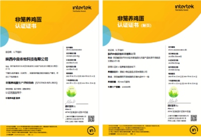 非笼养鸡蛋 – 散养认证