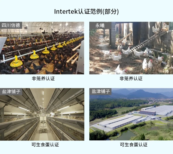 Intertek澳门精准20码食品服务