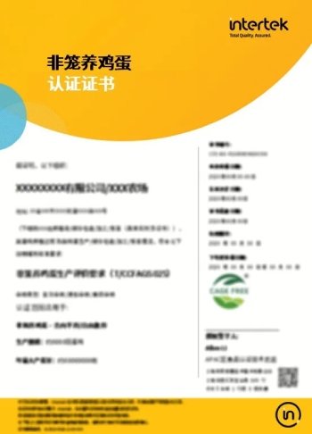 证书模板