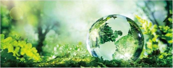 GHG IMP 企业碳排放审查服务