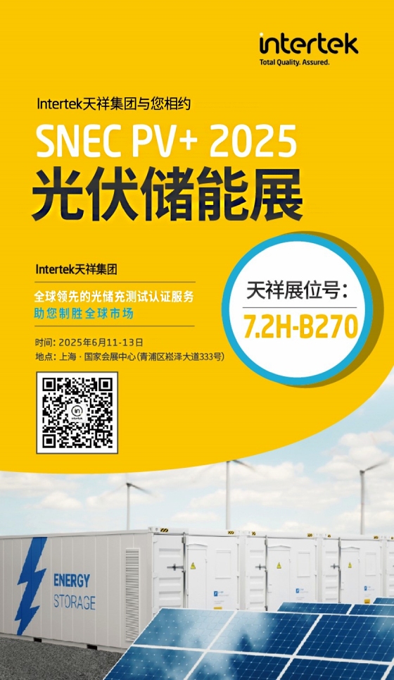 SNEC PV+ 2025光伏储能展