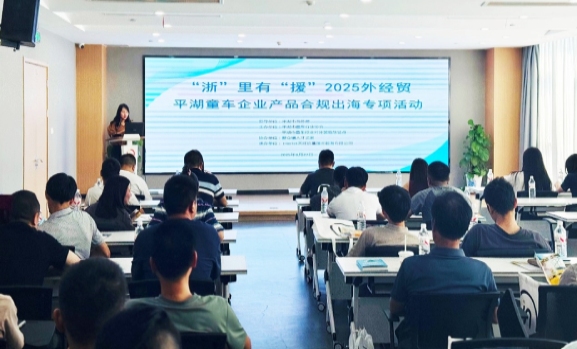 平湖市童车行业协会秘书长沈慧致辞