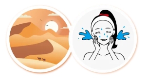 功效测试
