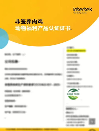 证书模板