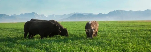 友好型农场认证