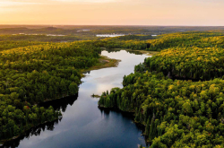 森林类自愿性产品认证