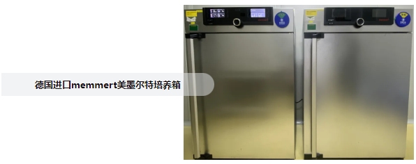 Intertek微生物实验室