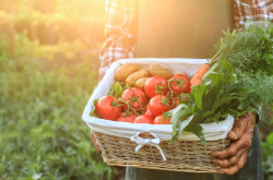 农食类自愿性产品认证