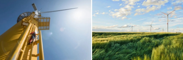 分歧背后的深层原因