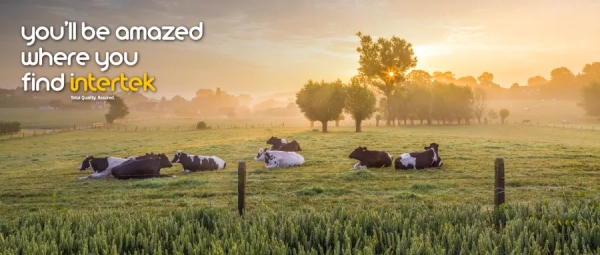 动物友好型农场等级评价