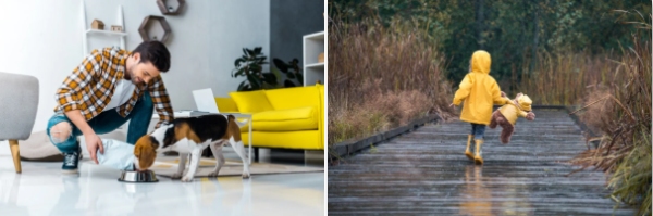 潮玩行业标准化