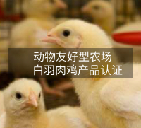 动物友好型农场&mdash;白羽肉鸡产品认证
