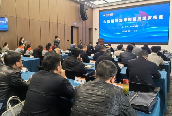 六西格玛管理培训与咨询项目总结大会