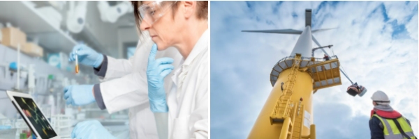 标准引领发展，向绿、向新、向未来