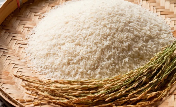 Intertek水稻品种鉴定解决方案