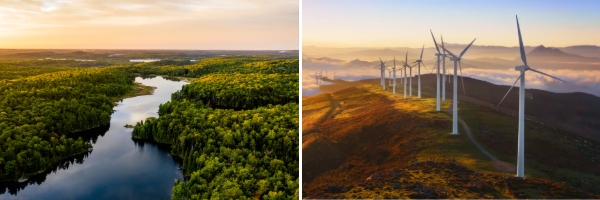 ESG (环境、社会、治理) 