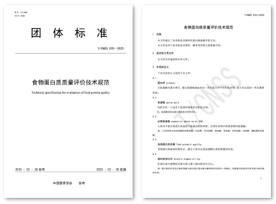 团体标准